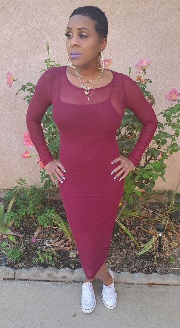 Sheer Mesh dress